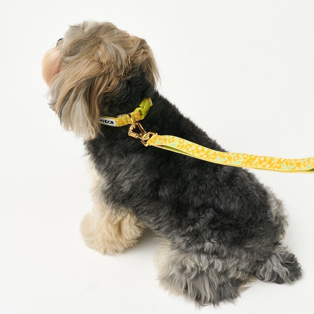 imgi_14_e6259a3ceefd2a19b308294e957da2da