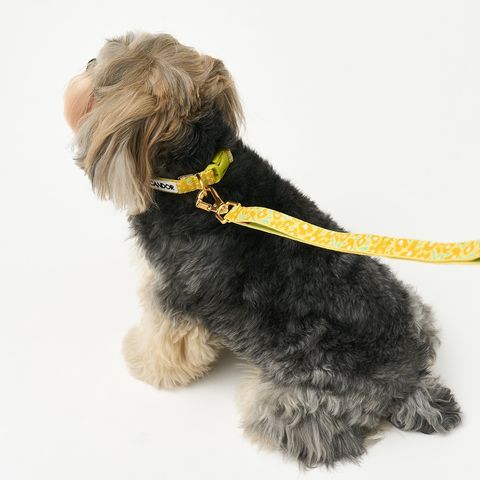 imgi_14_e6259a3ceefd2a19b308294e957da2da