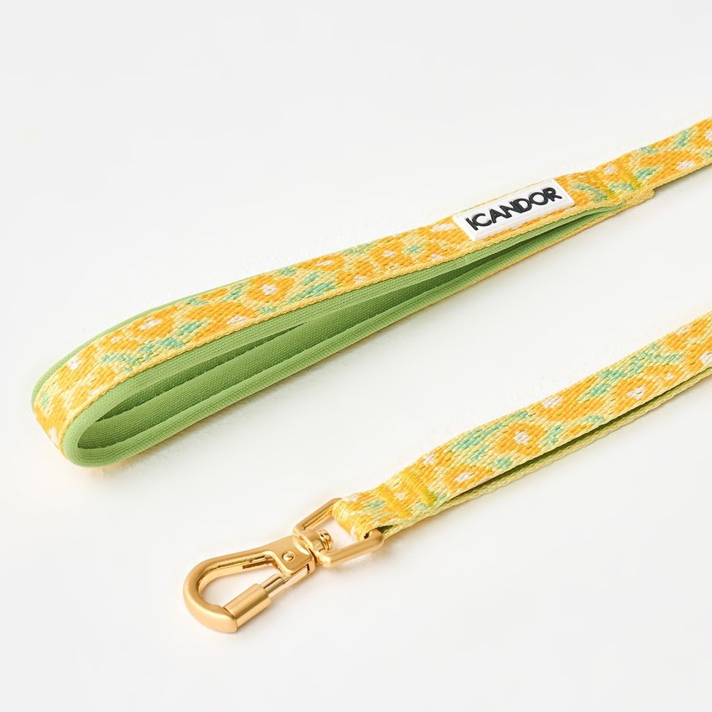 imgi_8_87e00b72671d9b26b141a403efaa9a11