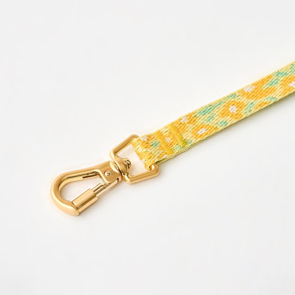 imgi_10_edc1d17a85776728cfdf4f99b09ccf91