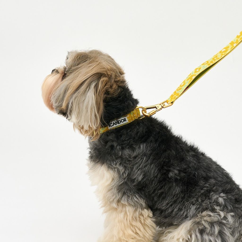 imgi_13_80d2f024c2ec8e7b8c08cc4751b474ec