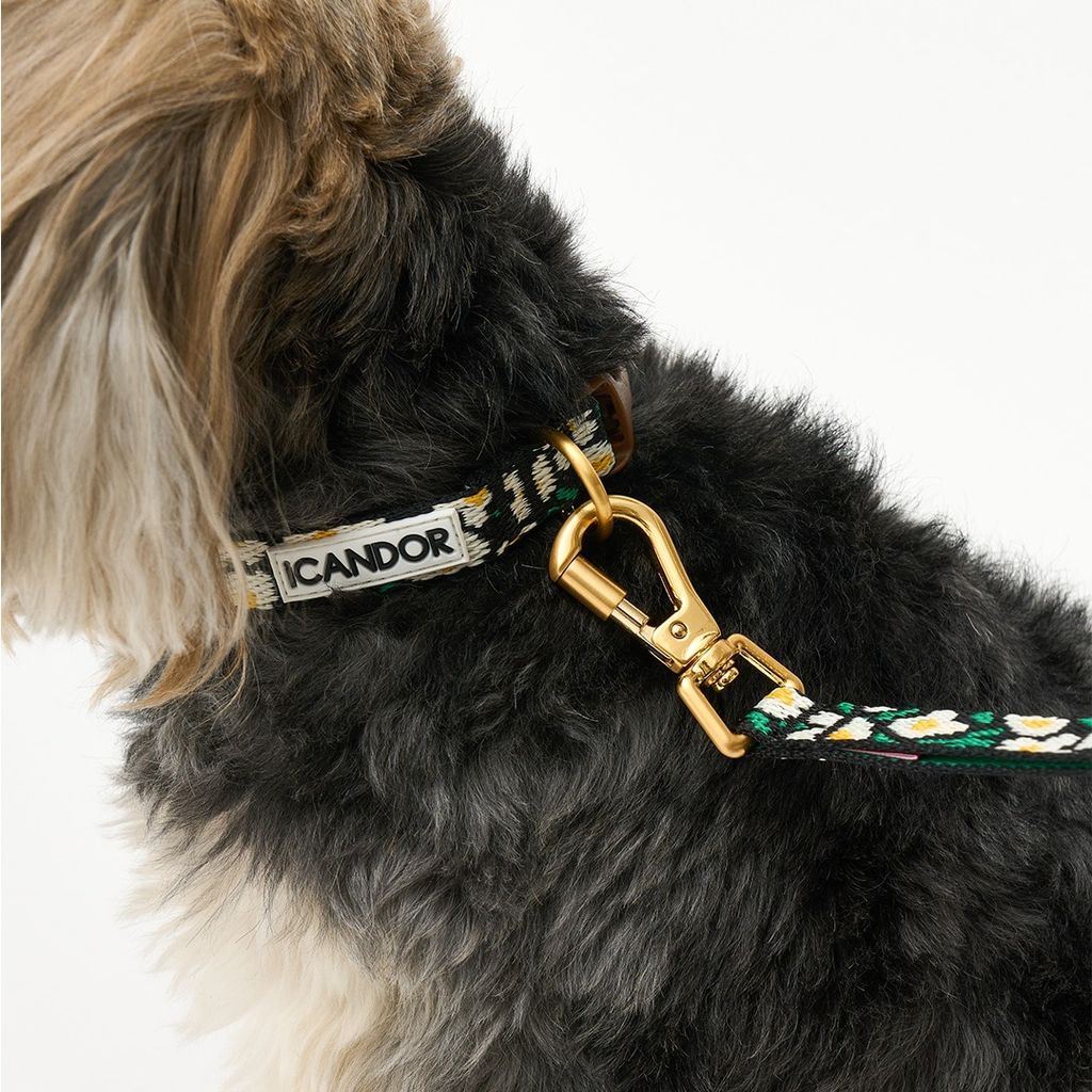 imgi_13_efe26a8e13731fba939b84b79f2f4f2f