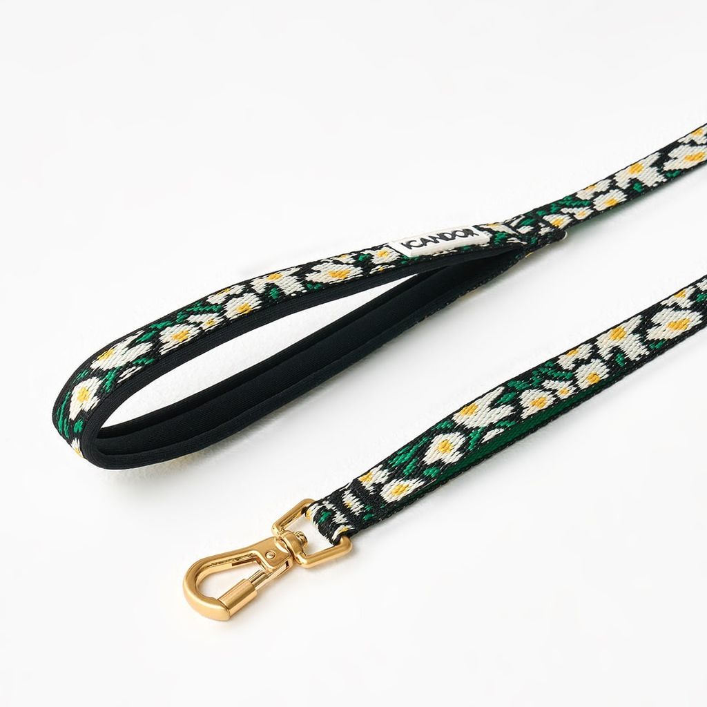 imgi_8_0337e0ee6d5e395fba5abc47ae51a813