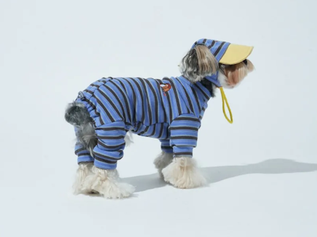 螢幕擷取畫面 2025-10-29 115639