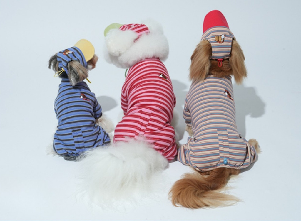 螢幕擷取畫面 2025-10-29 115658