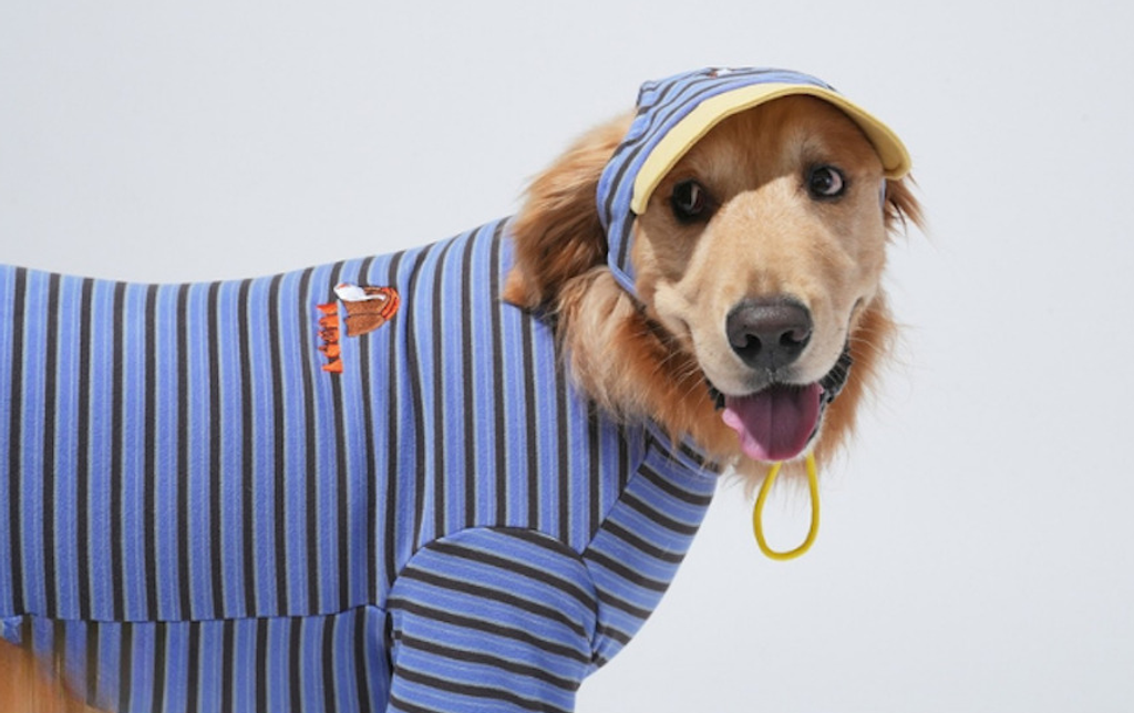 螢幕擷取畫面 2025-10-29 115707