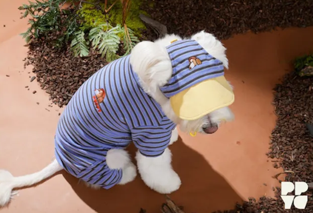 螢幕擷取畫面 2025-10-29 115736