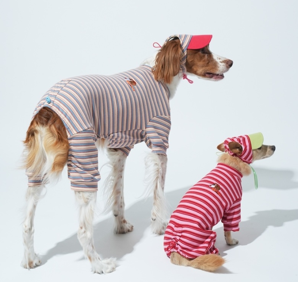 螢幕擷取畫面 2025-10-29 120738