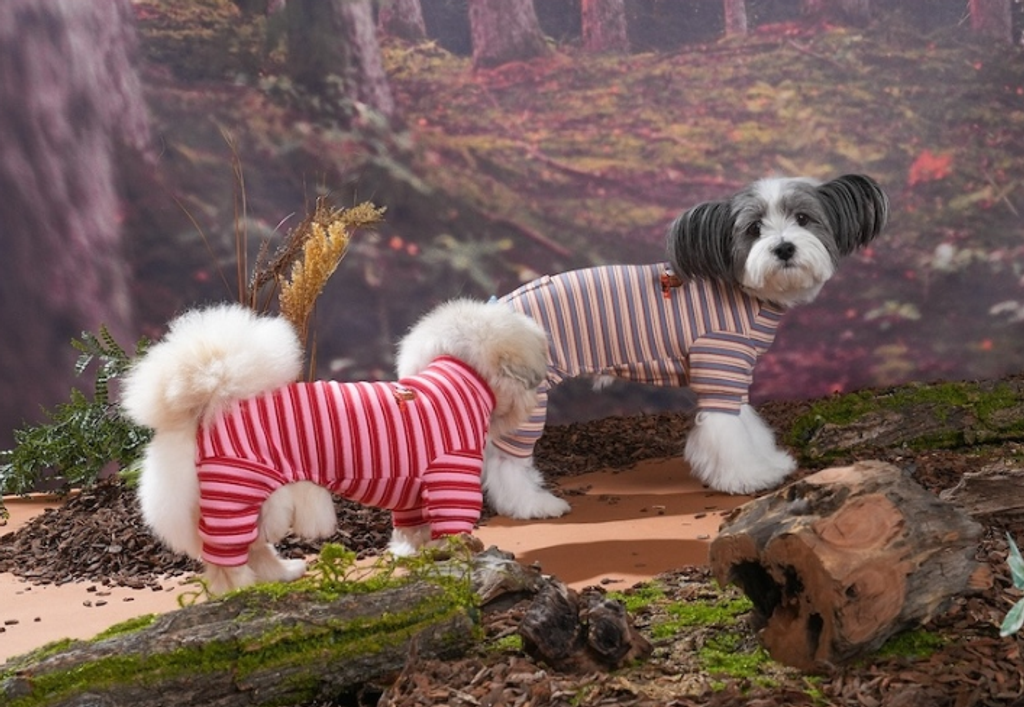 螢幕擷取畫面 2025-10-29 120747