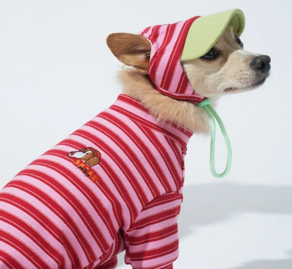 螢幕擷取畫面 2025-10-29 120805