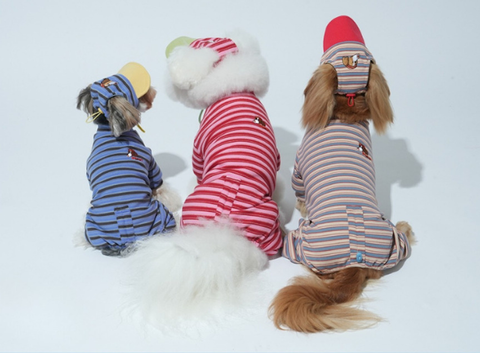 螢幕擷取畫面 2025-10-29 115658