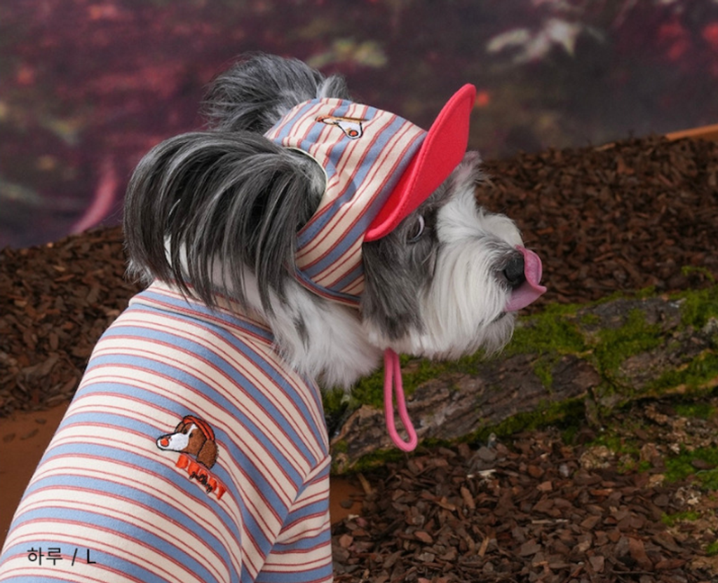 螢幕擷取畫面 2025-10-29 121145