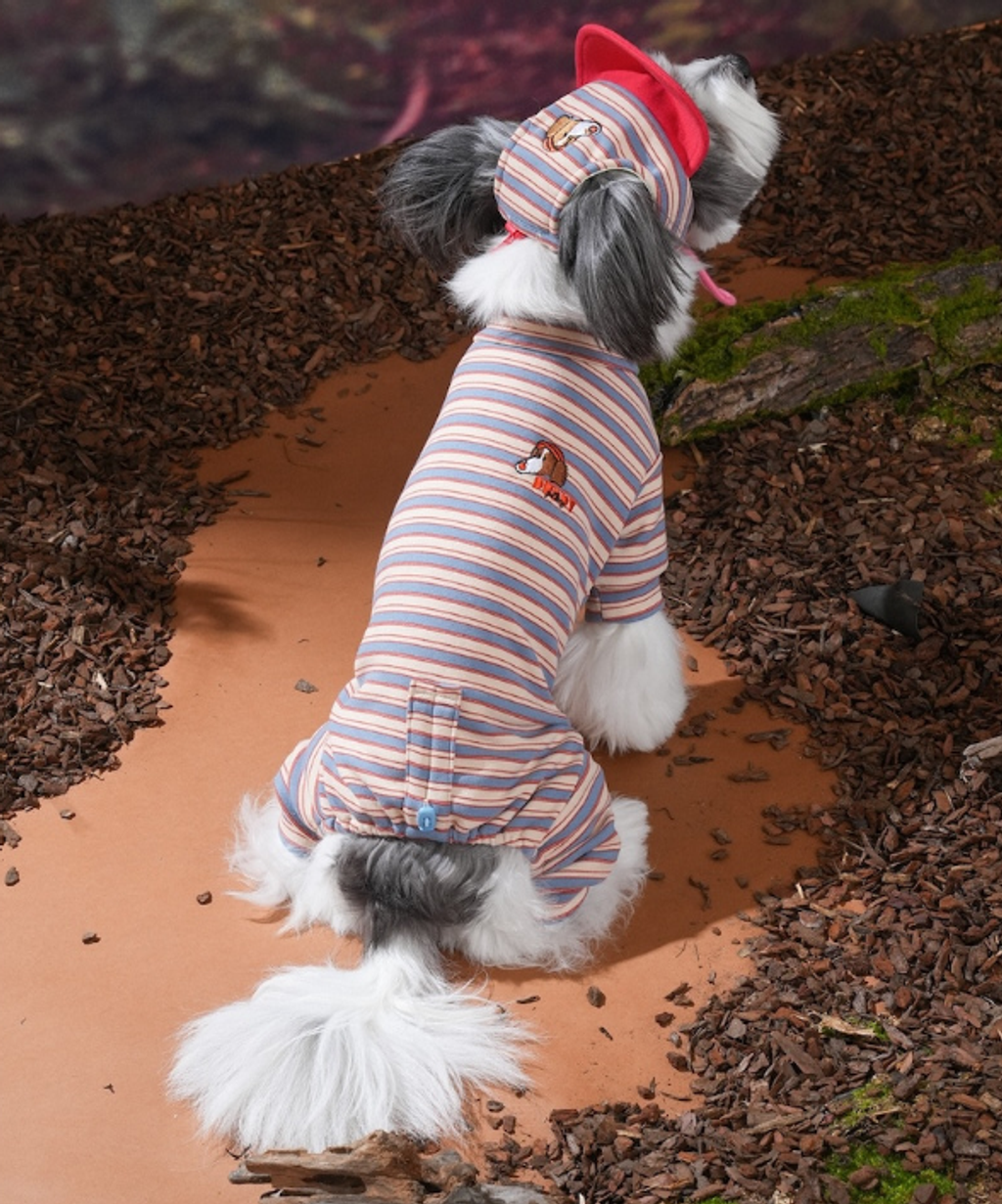 螢幕擷取畫面 2025-10-29 121204