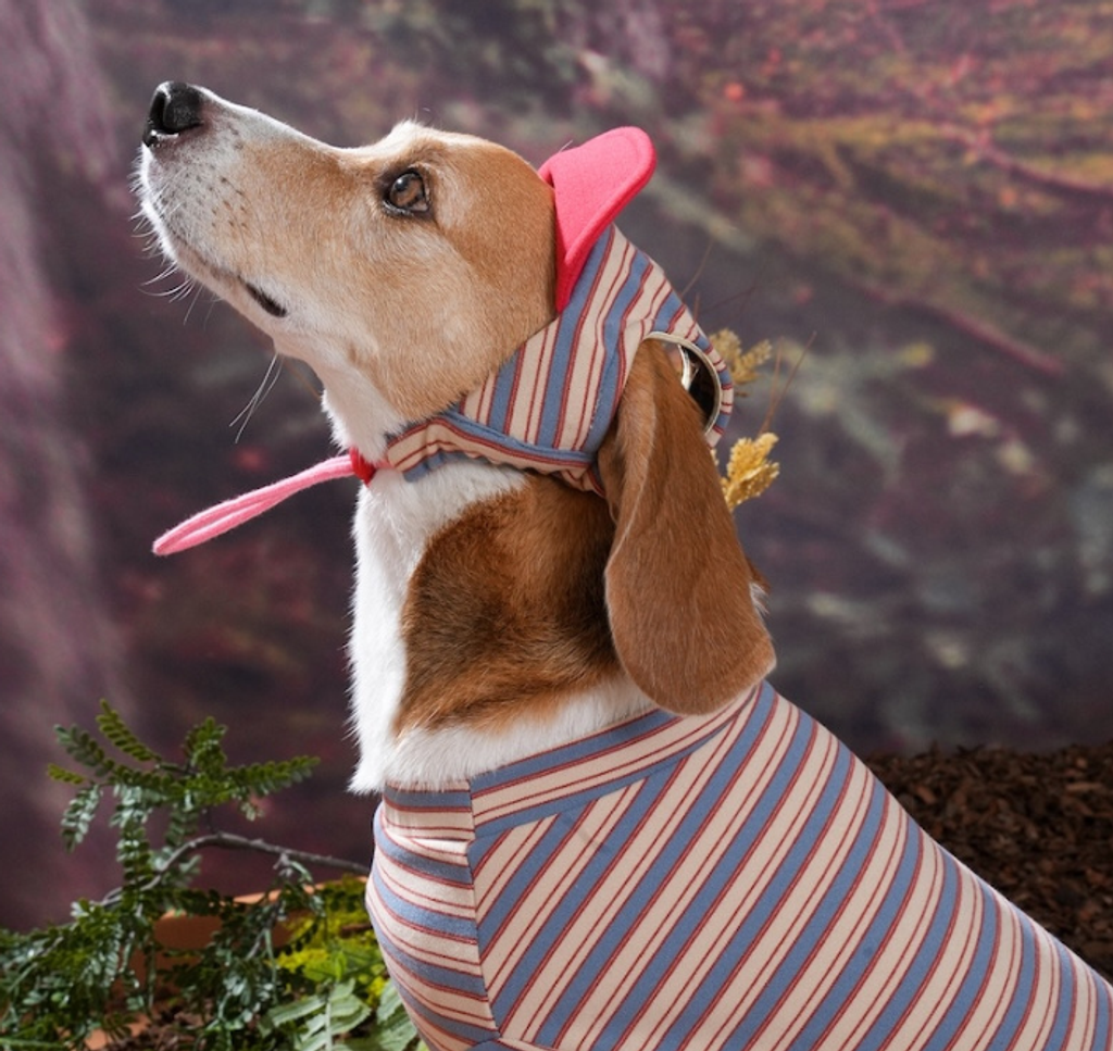 螢幕擷取畫面 2025-10-29 121220