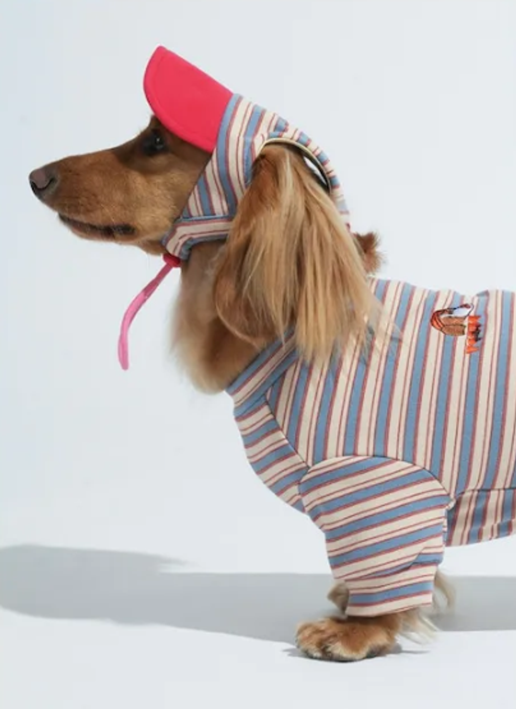 螢幕擷取畫面 2025-10-29 121238