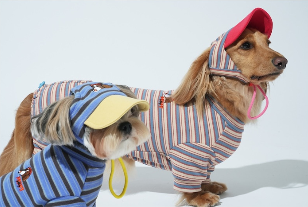 螢幕擷取畫面 2025-10-29 122204