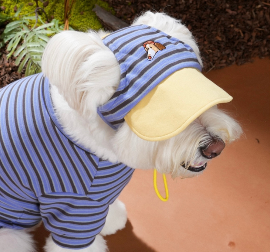 螢幕擷取畫面 2025-10-29 122215