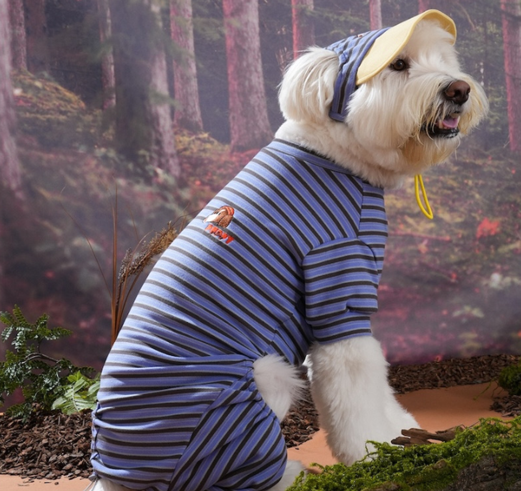 螢幕擷取畫面 2025-10-29 122228