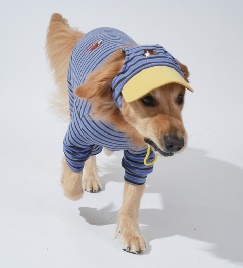 螢幕擷取畫面 2025-10-29 122244