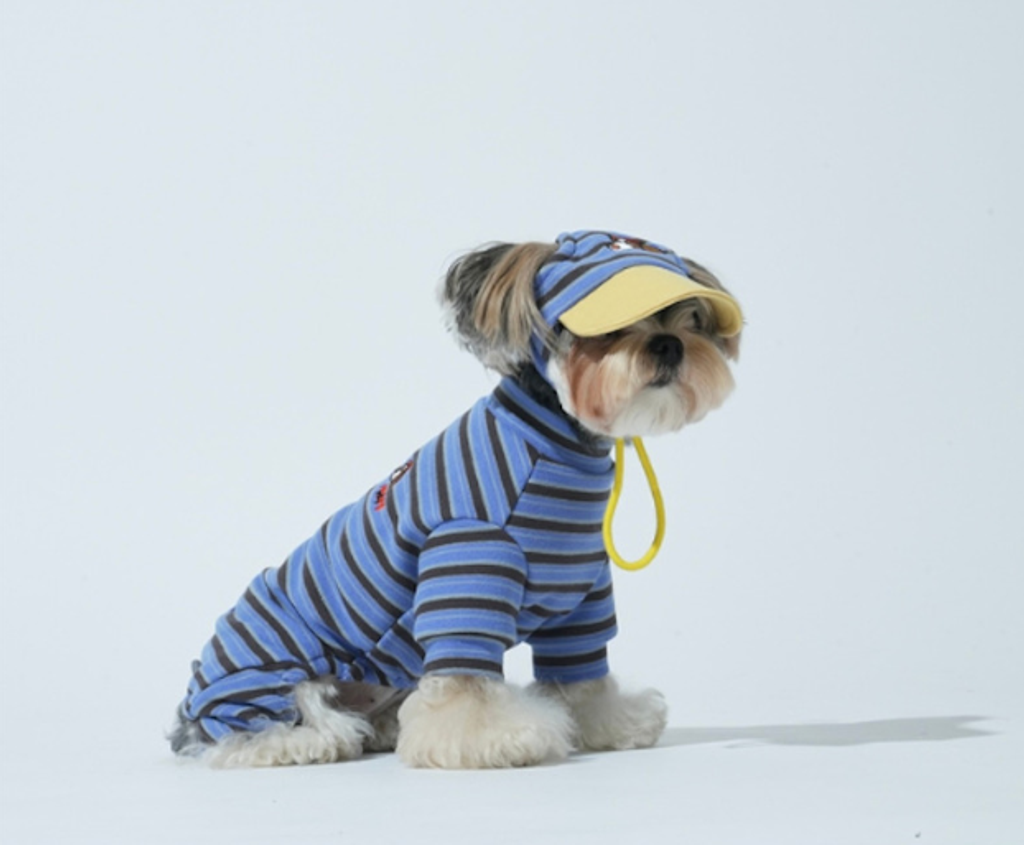 螢幕擷取畫面 2025-10-29 122250