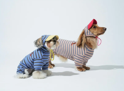 螢幕擷取畫面 2025-10-29 121245