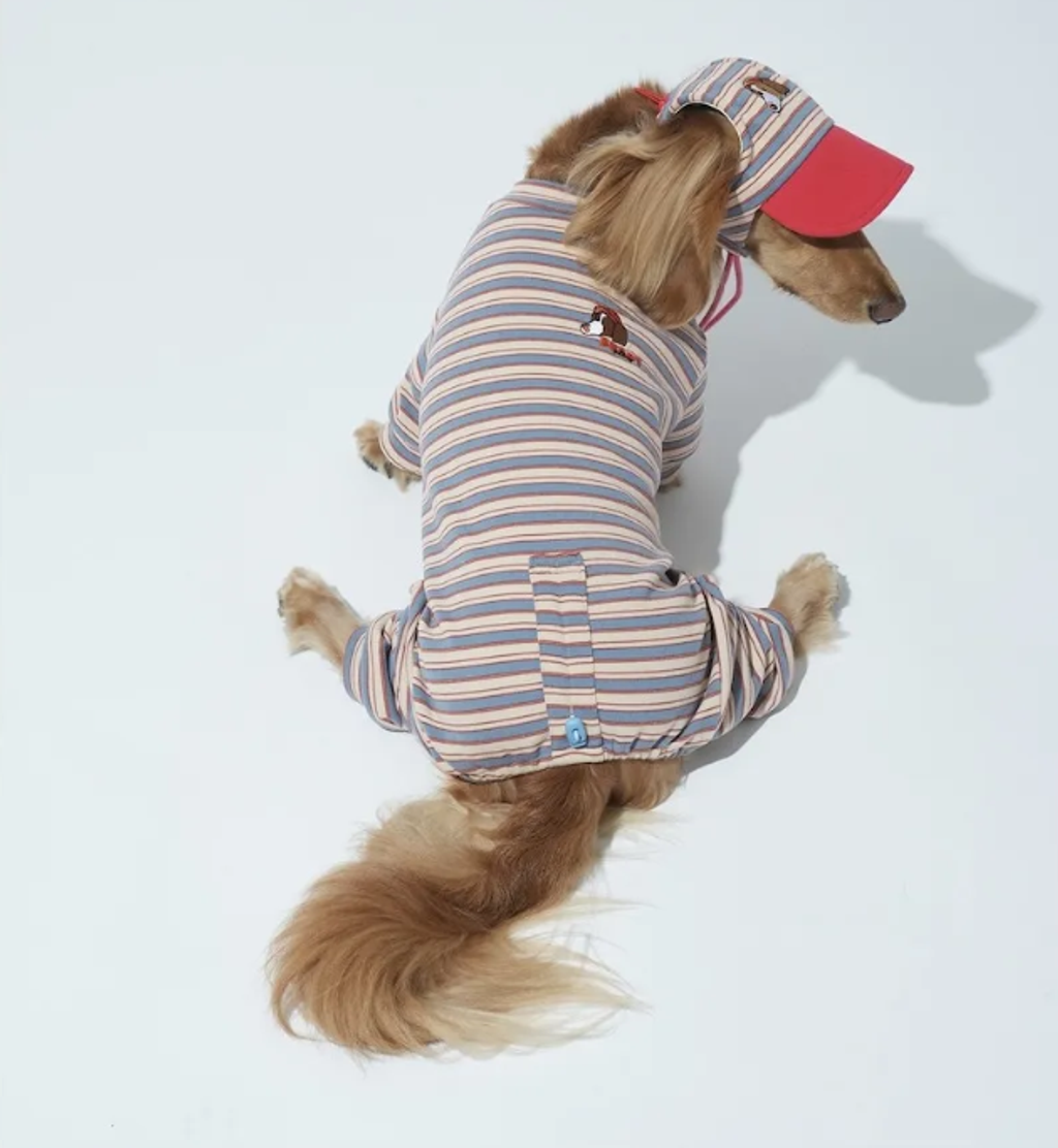 螢幕擷取畫面 2025-10-29 122953