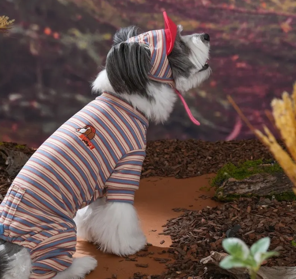 螢幕擷取畫面 2025-10-29 122937