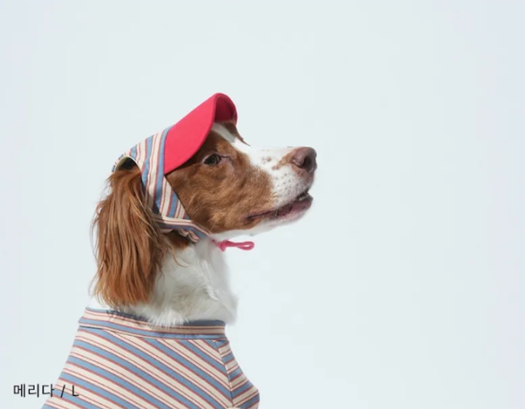 螢幕擷取畫面 2025-10-29 122923