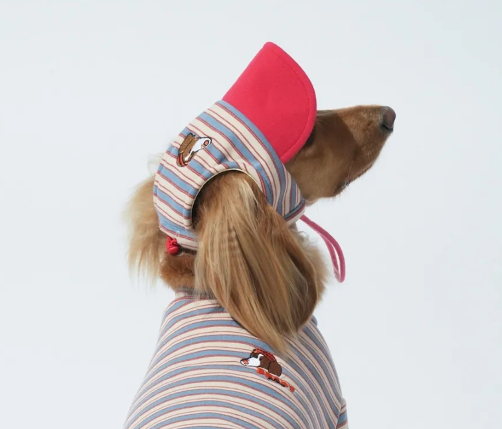 螢幕擷取畫面 2025-10-29 122913