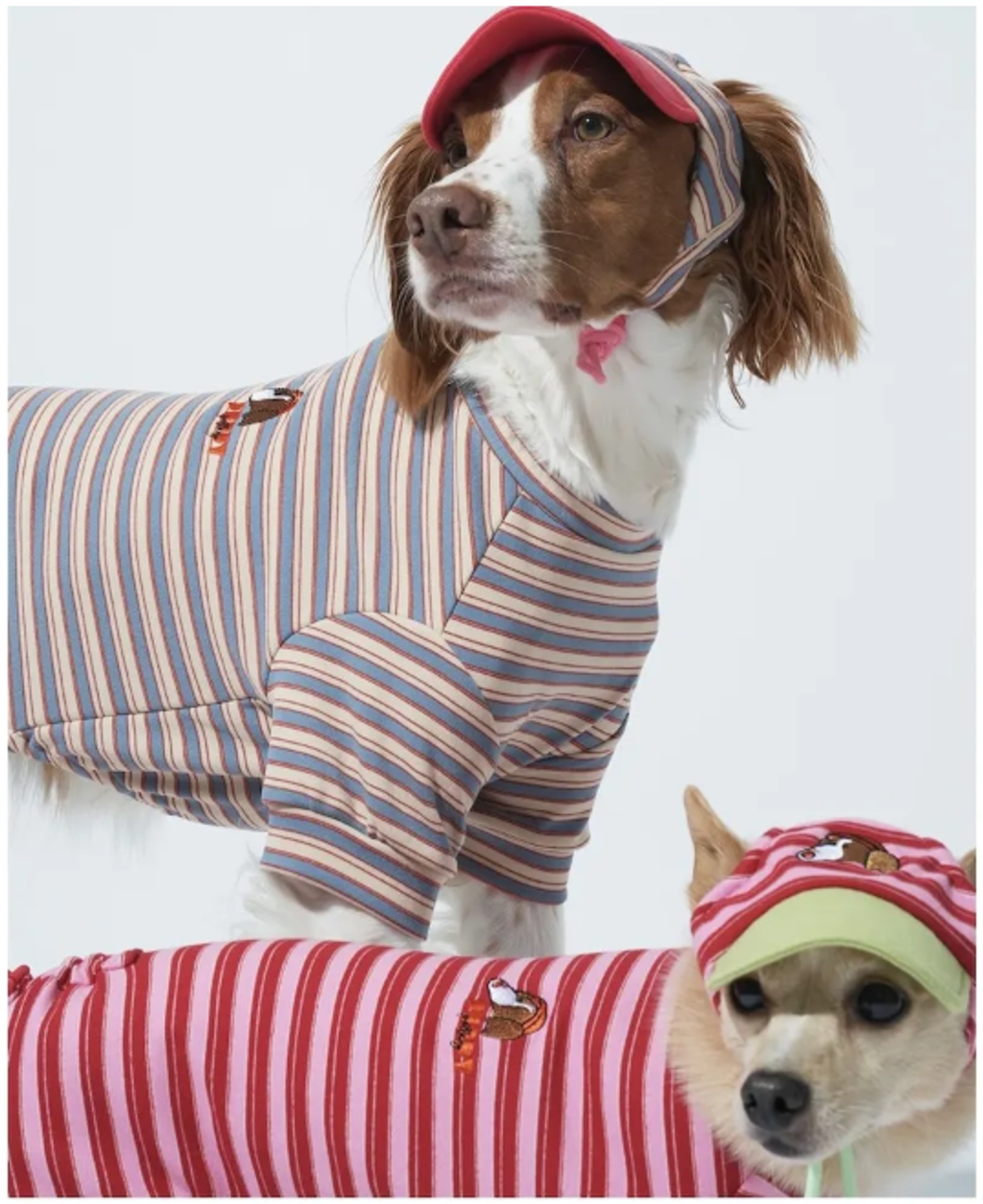 螢幕擷取畫面 2025-10-29 122846