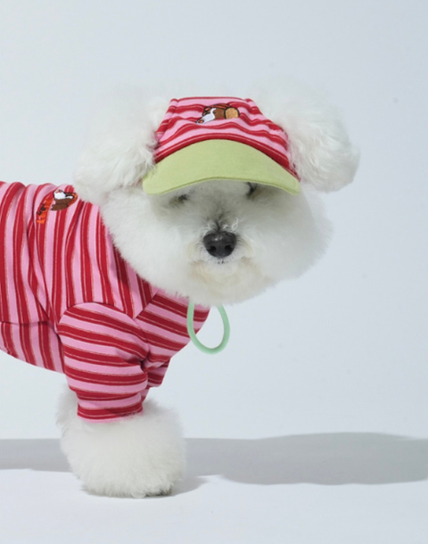 螢幕擷取畫面 2025-10-29 123500