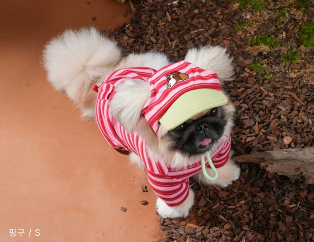 螢幕擷取畫面 2025-10-29 123528