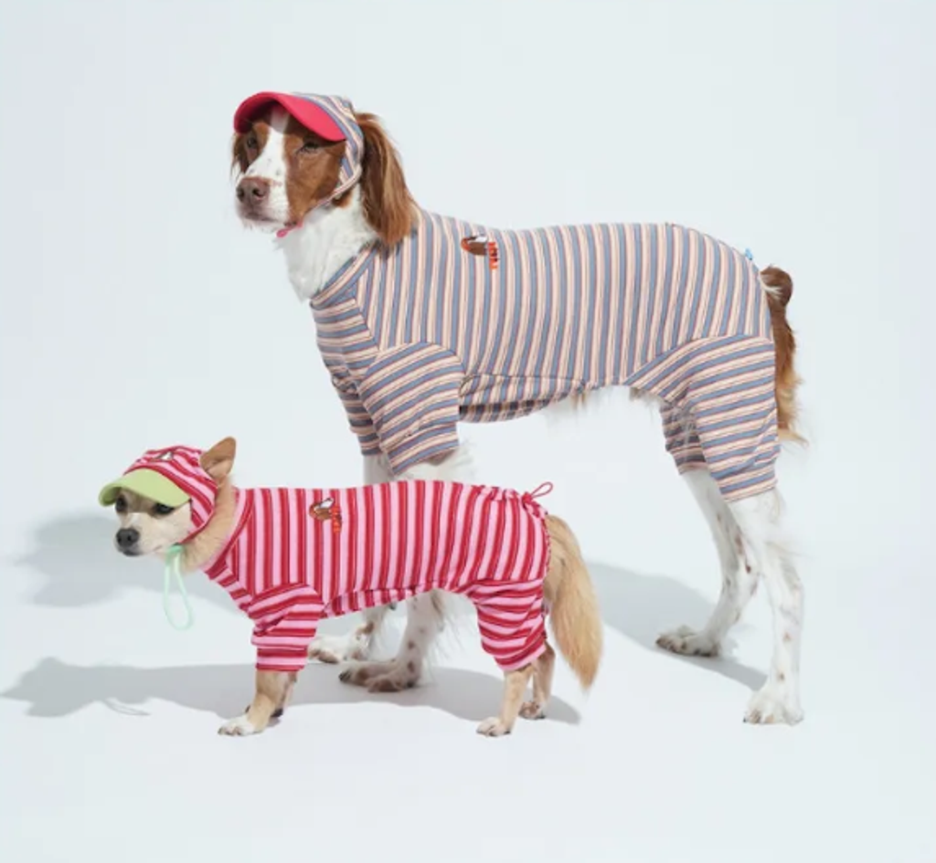 螢幕擷取畫面 2025-10-29 123001