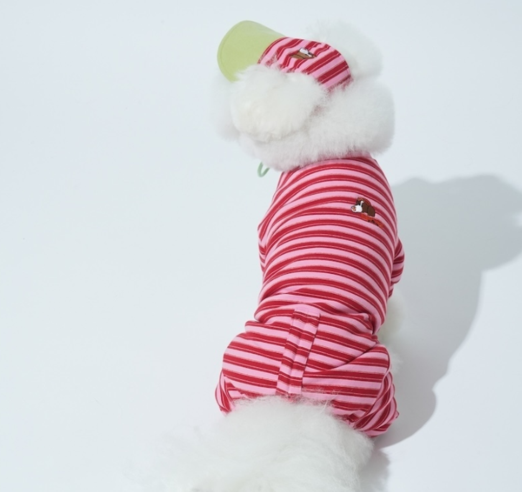 螢幕擷取畫面 2025-10-29 120817