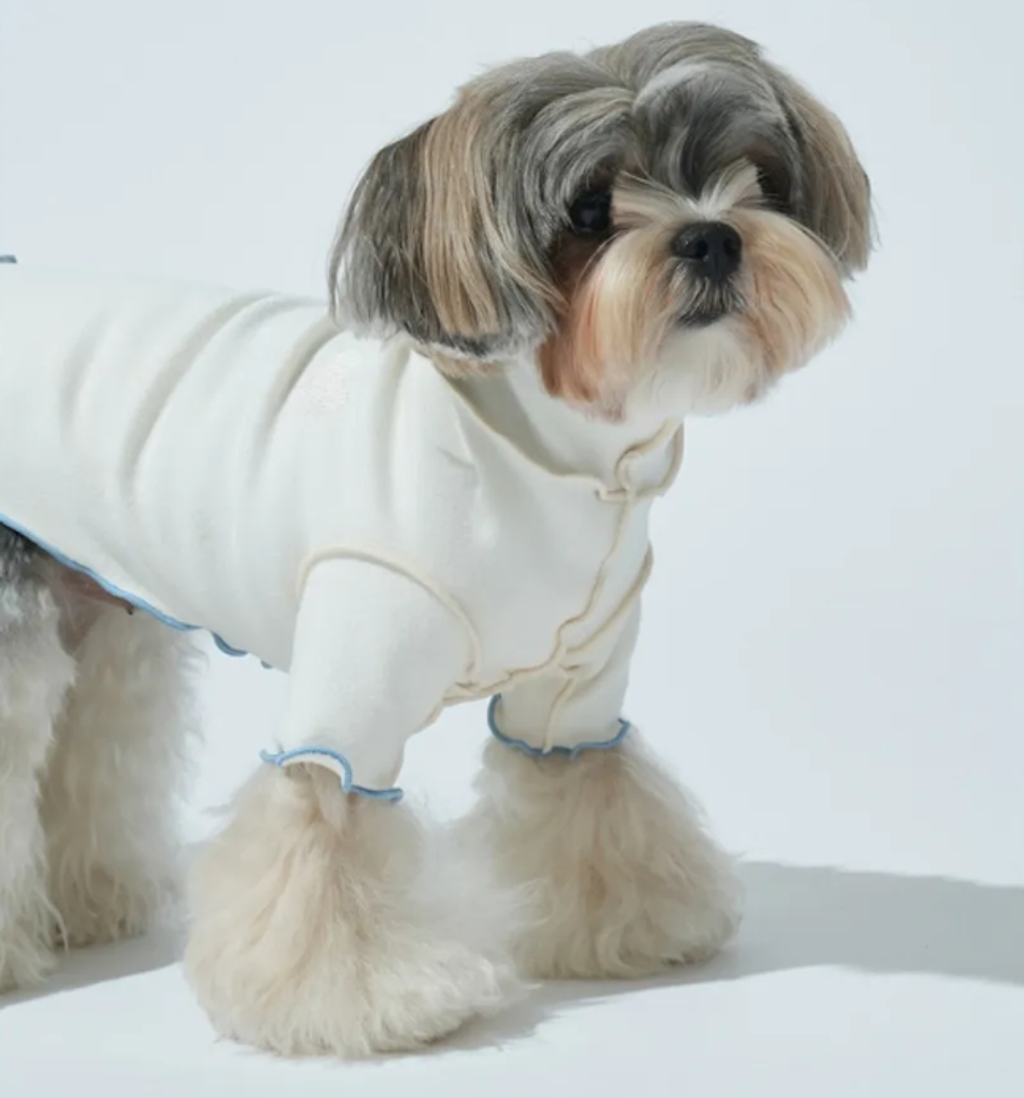 螢幕擷取畫面 2025-10-29 124502