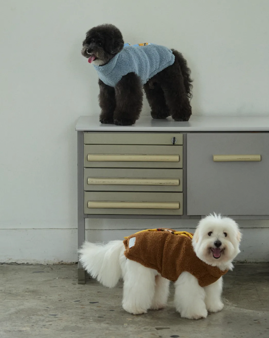 截圖 2025-10-29 下午12.47.13