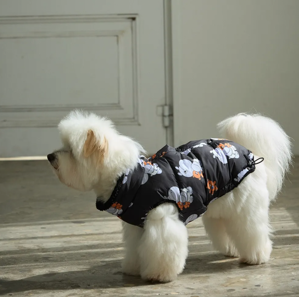 截圖 2025-10-29 下午12.48.46