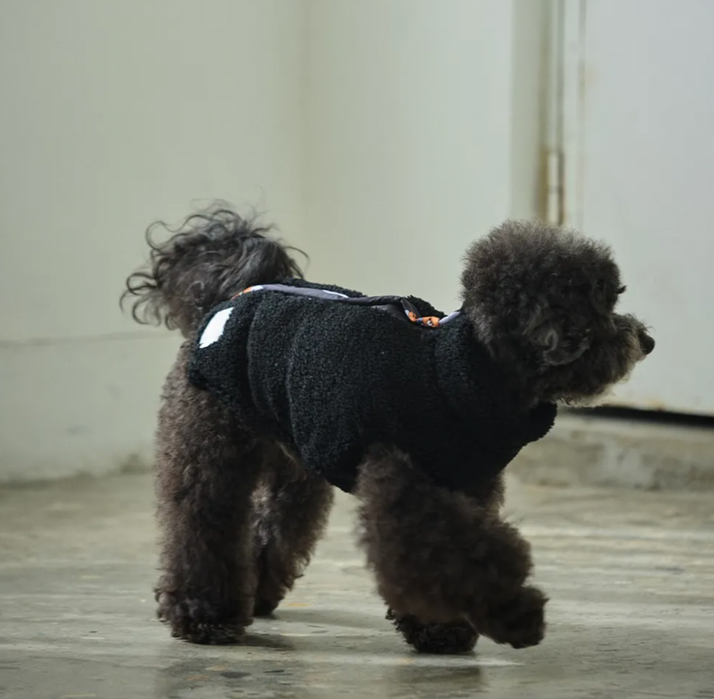 截圖 2025-10-29 下午12.49.02