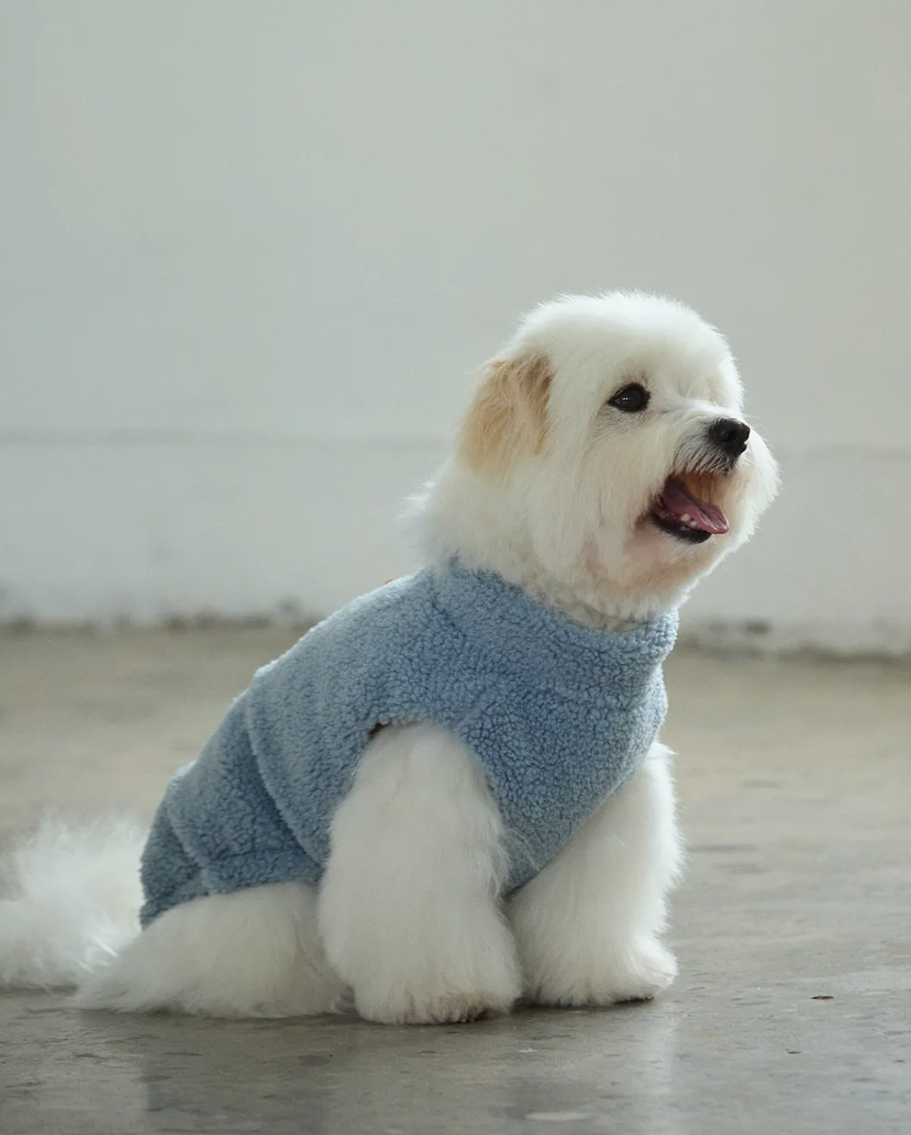 截圖 2025-10-29 下午12.50.53