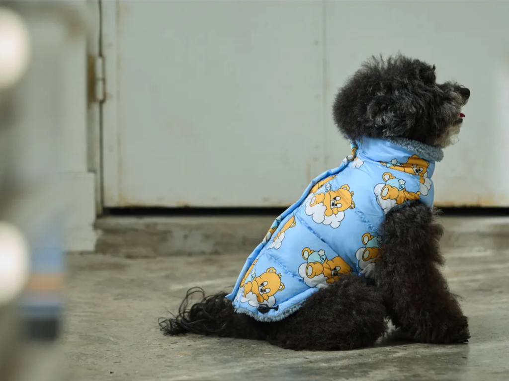 截圖 2025-10-29 下午12.51.45