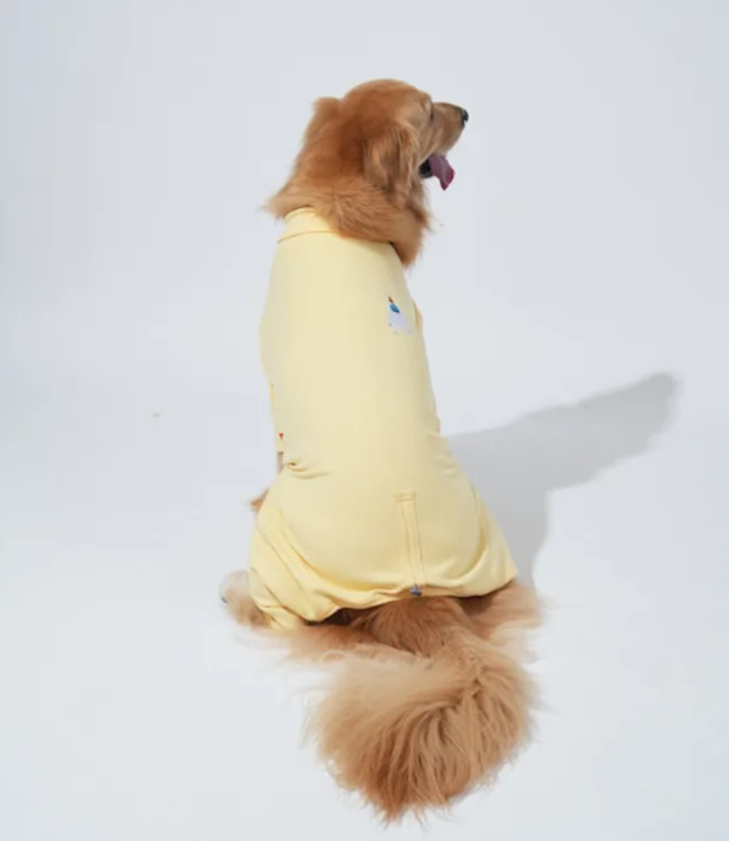 螢幕擷取畫面 2025-10-29 131559