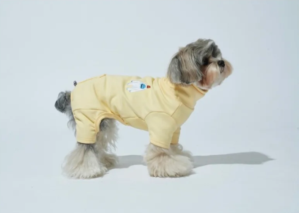 螢幕擷取畫面 2025-10-29 131545