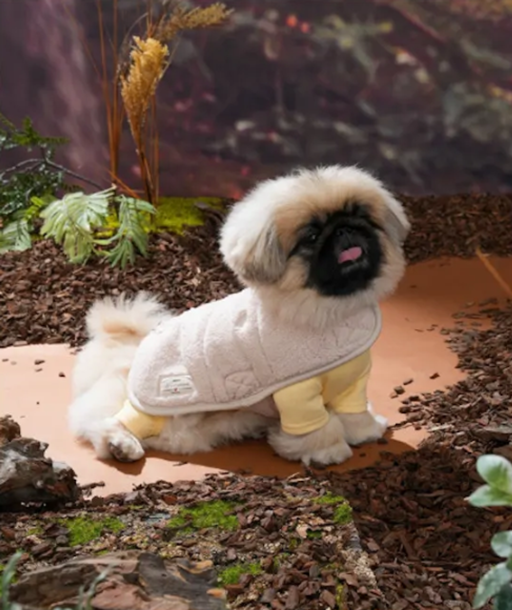 螢幕擷取畫面 2025-10-29 131501