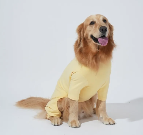 螢幕擷取畫面 2025-10-29 131448