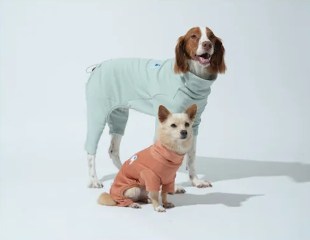 螢幕擷取畫面 2025-10-29 130546