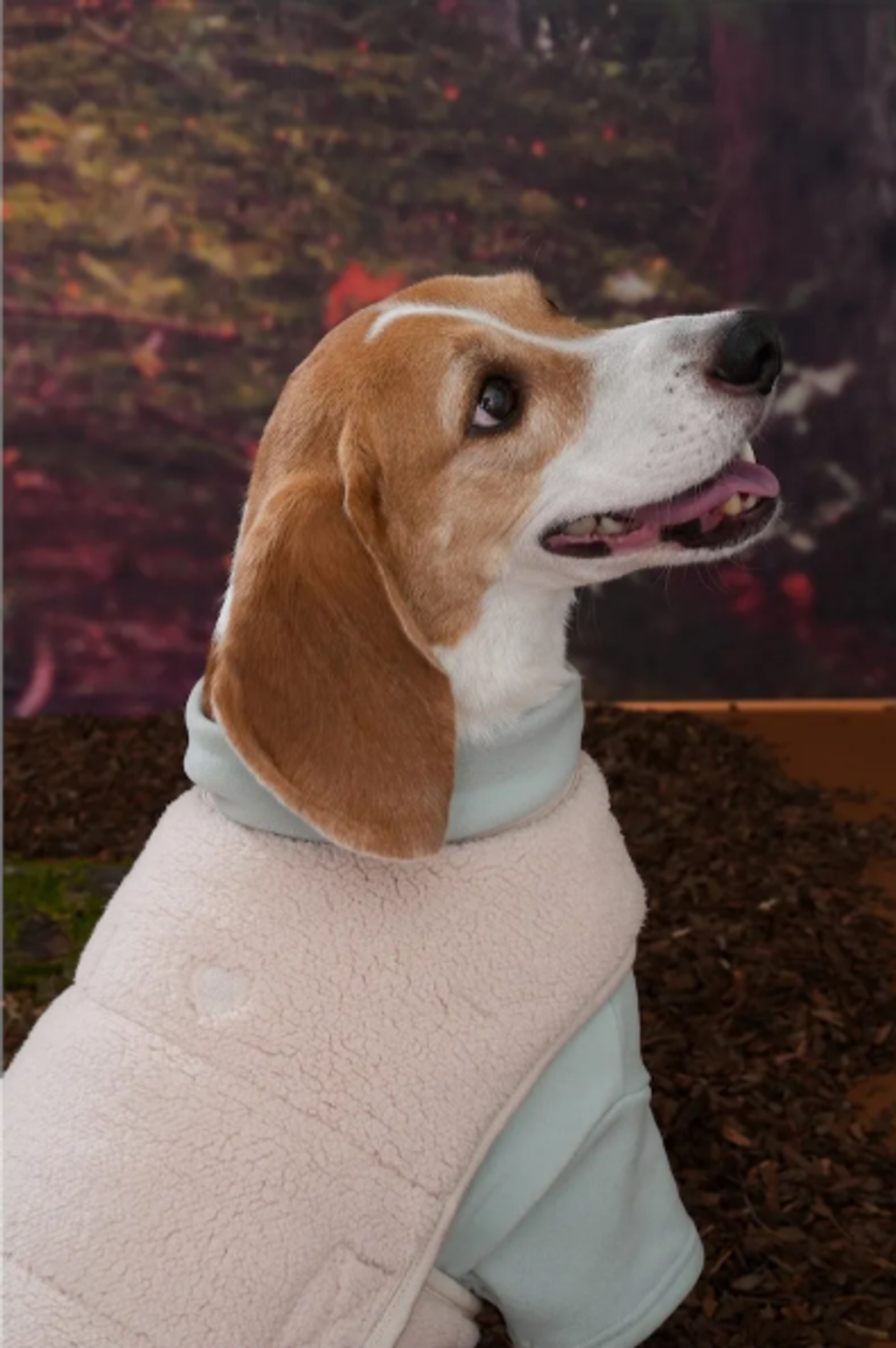 螢幕擷取畫面 2025-10-29 131521