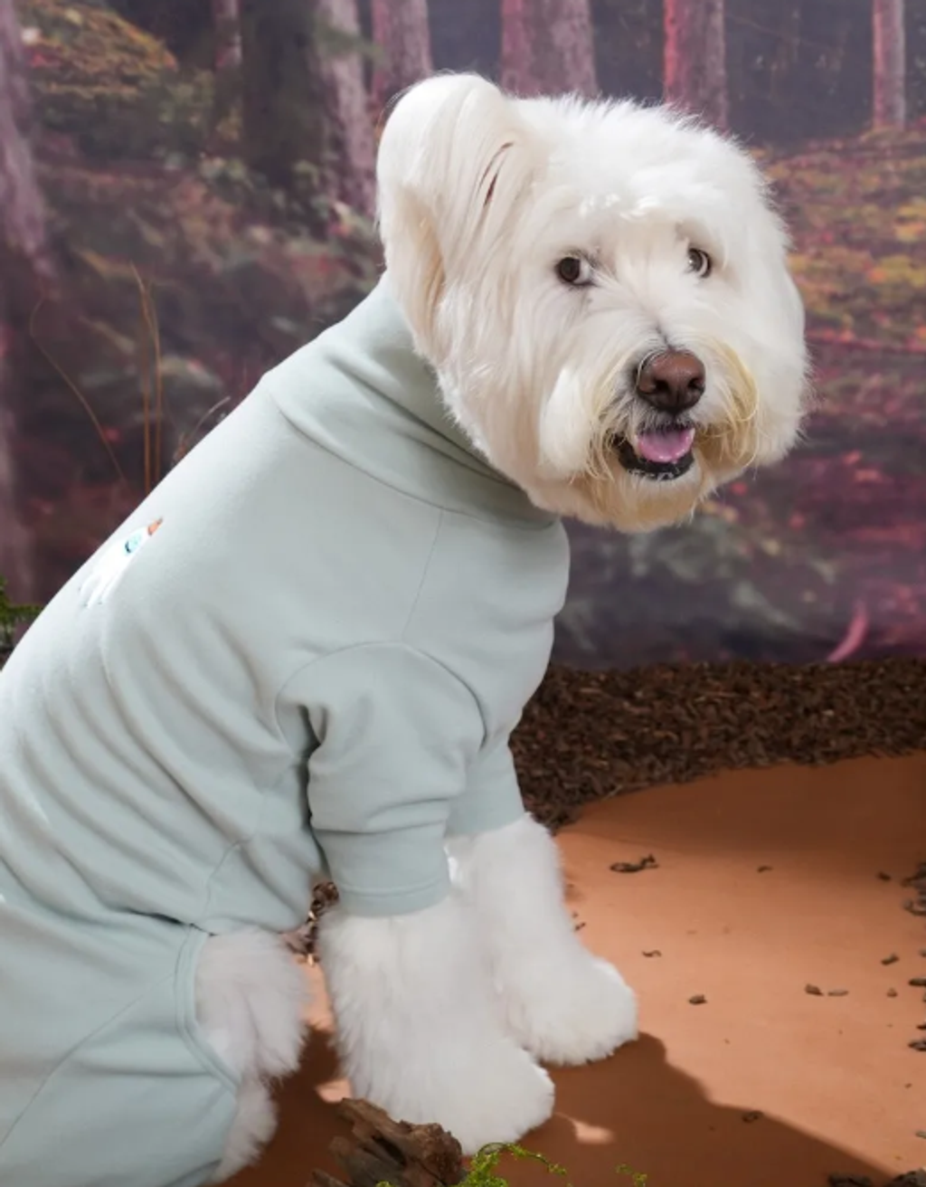 螢幕擷取畫面 2025-10-29 132016