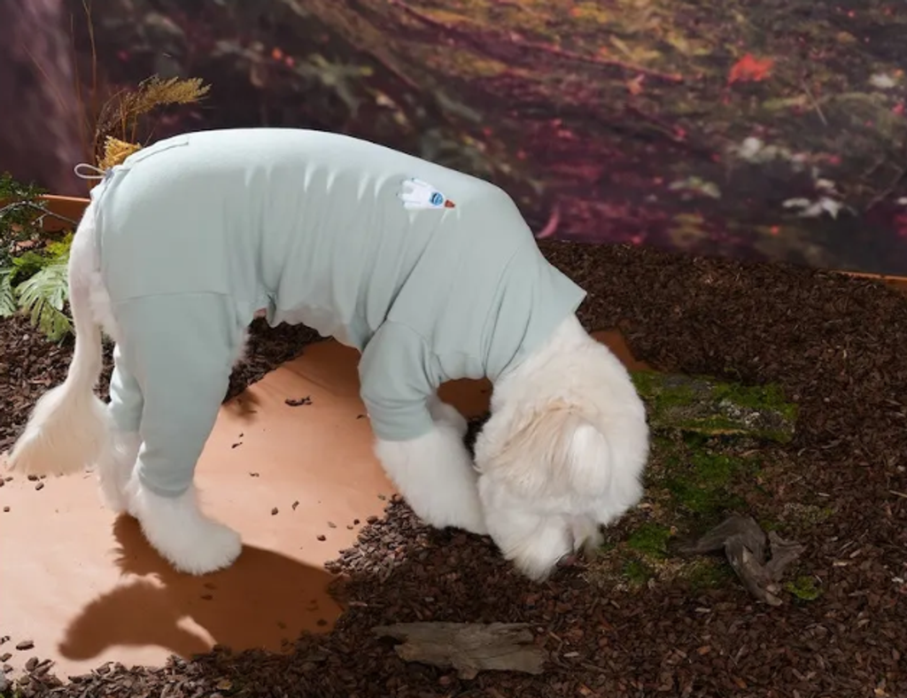 螢幕擷取畫面 2025-10-29 131955