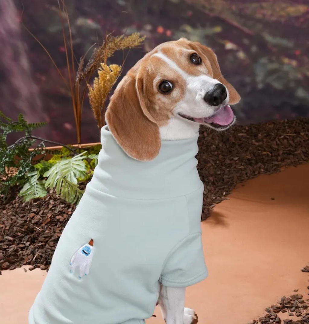 螢幕擷取畫面 2025-10-29 131949