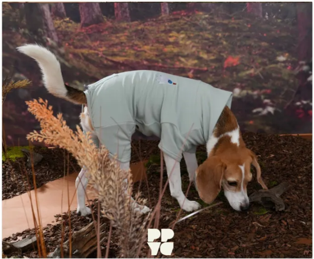 螢幕擷取畫面 2025-10-29 131929